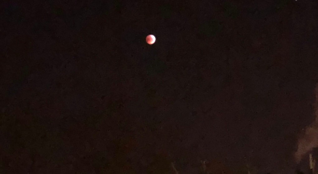 Éclipse lunaire - Lune rouge 21012019 - Auderghem BX1